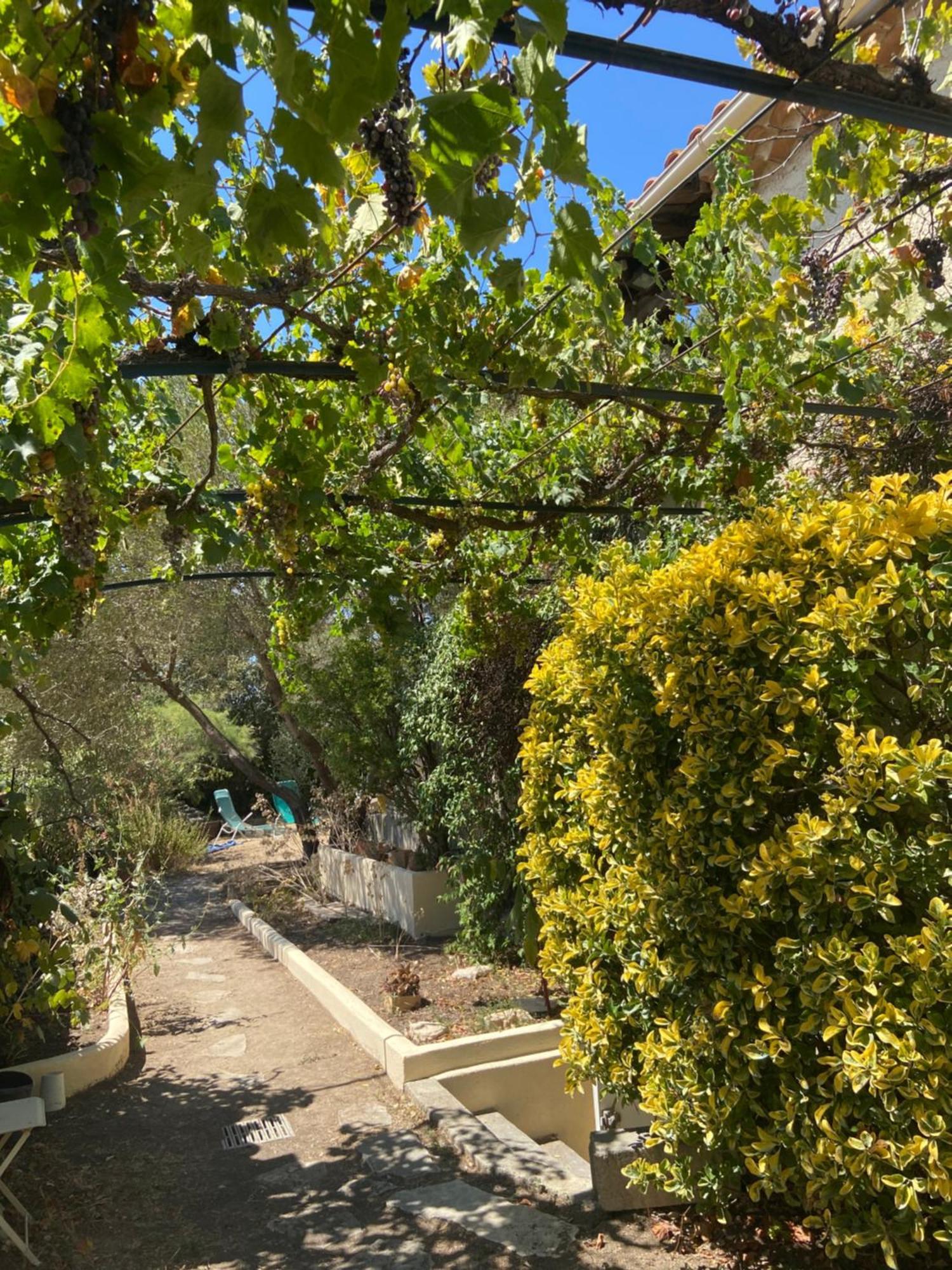 Evasion En Provence Bas De Villa Avec Jardin & Vignes, Soleil & Fraicheur Mirabeau Exteriér fotografie